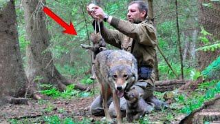 The Forest Ranger Freed A She-Wolf From The Trap He Wont Know This Action Will Change His Fate...