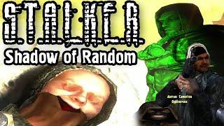 Stalker Shadow of Random Schizo Mod