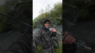 Es gibt kein schlechtes Wetter  #fishing #baitcaster #miracle #rain #angeln #troutfishing #shorts