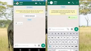 Cara Menonaktifkan Dua Tanda Centang Biru di Pesan Baca Whatsapp