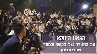 מה המטרה של הקושי והפחד - שות מרתק עם הגאון הינוקא במוצאי שבת @TheYanukaRavShlomoYehuda  #הינוקא