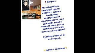 ️ ВопросКак обжаловать судебный приказ мирового судьи о взыскании далее в описании