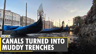 Exceptional low tide leaves canals almost empty in Venice  World  WION News