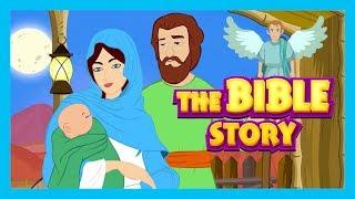 The Bible Story - Stories of Jesus  Bible and Other Story Collection For Kids