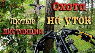 Охота на уток с Арбалетом. Жизнь меня к таким дистанциям не готовила. Эти птички заколдованы