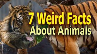 7 Weird Facts About Animals Crazy Animals Life.