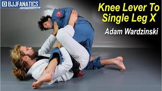 Knee Lever To Single Leg X by Adam Wardzinski