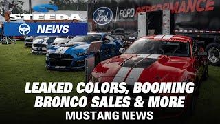 2022 Mustang Colors Leaked Customized Mach-E & More  Steeda News