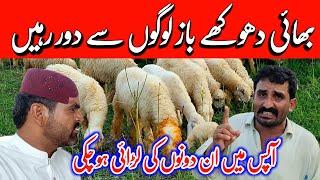 Sasty mundray chatray hamy kahah sy mily gy  Mundra goat farm 8 Aug 2024