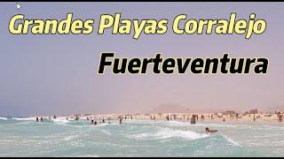 Corralejo Paradise Travel