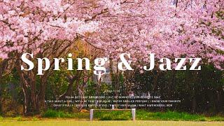 Playlist l  벚꽃 비 내리는 봄에 재즈를 들어야하는 이유ㅣSpringtime Street & Smooth Jazz Music for Work Study Focus