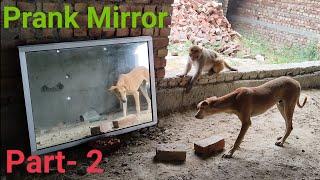 DogMirror Prank Hilarious Funny Response Part -2