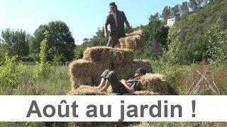 Que faire au jardin en Août ?