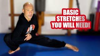 Basic Martial art stretches you will need