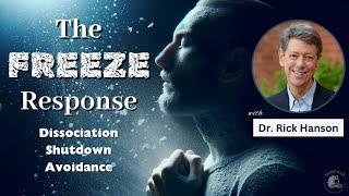 Managing the Freeze Response Dissociation Emotional Shutdown and Creating Safety  Being Well