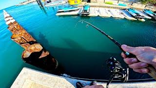 Key West Shore Fishing Spot Tour + Underwater