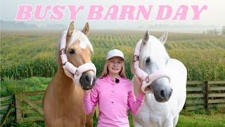 BUSY BARN DAY - PACKING FOR A SHOW RIDING JUMPING AND CLEANING