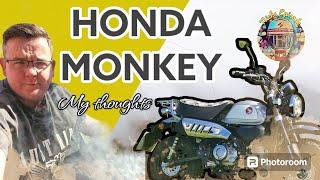 2024 Honda Monkey 125 Owners Review