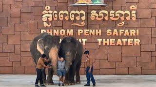Cambodia Life Video 173 ​- Elephant Show Zoo Phnom Penh Safari World  Cambodia 2020