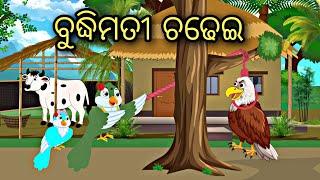 Budhimati Chadhei  Odia Stories  Odia Bird Story  Odia Gapa #odia #cartoon #birds #story