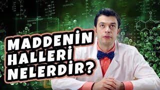 MADDENİN HALLERİ NELERDİR?