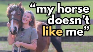 Why Your Horse Doesn’t “Like You”