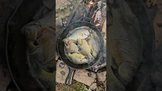 Catch and Cook Crappie and Bluegill