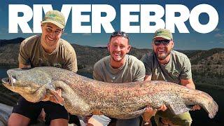 Carp and Catfishing for the RIVER EBRO MONSTERS