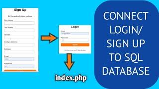 How to connect loginsignup to database using php and mysql