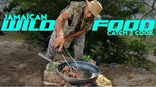 EXTREME FOODS EATING BIRD HEART LIVER & GIZZARDS