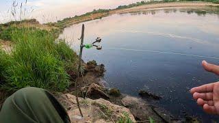 Я аж ОФИГЕЛ КОГДА его ДОСТАЛ Рыбалка на ДОНКИ без ЗАМОРОЧЕК с ночевкой летом в 2024