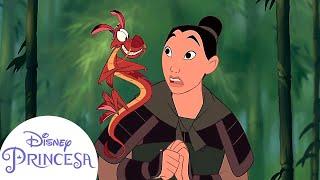 Mulan Encontra Mushu   Disney Princesa