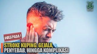 STROKE KUPING GEJALA PENYEBAB HINGGA KOMPLIKASI