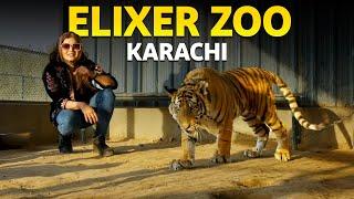 Exploring the Karachis Hidden Wildlife Paradise  Hello Karachi  Discover Pakistan