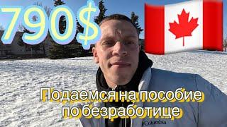 Подача на провинциальную выплату  пособие по безработице Канада #cuaet #ukraine #canada #life #edm