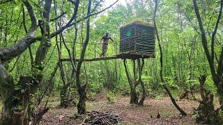 75 hari hidup di hutan sendirian.