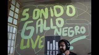 Sonido Gallo Negro - Full Performance Live on KEXP