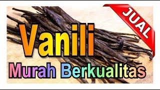 Update 2024 Jual Vanili Harga Super Murah  Agro Smart