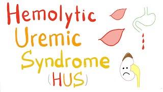 Hemolytic Uremic Syndrome HUS