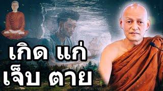 เกิดแก่เจ็บตาย#พุทธวจน #พระอาจารย์คึกฤทธิ์ #พุทธศาสนา #อนัตตา66 #พระพุทธเจ้า #ภพภูมิ