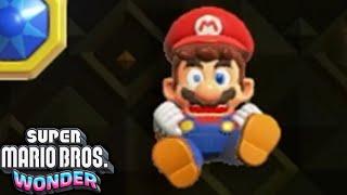 Super Mario Bros Wonder The FINAL Final Level