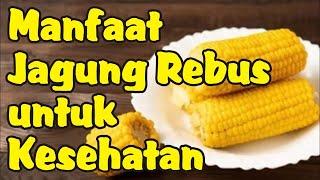 Manfaat Jagung Rebus untuk Kesehatan