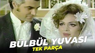 Bülbül Yuvası  Türkan Şoray Murat Soydan Eski Türk Filmi Full İzle