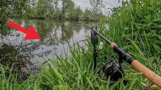 Aal Angeln am kleinen Fluss I The RiverVlog Folge 39