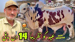 Maweshi Mandi Ring Road Peshawar New Updates 262024  Eid Ul Azha 2024 Cow Mandi  Khyber Social