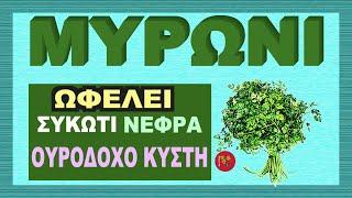 Μυρώνι -  Ωφέλιμο Για Συκώτι Νεφρά Ουροδόχο Κύστη