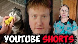 МЕНЯ БЕСЯТ ШОРТСЫ  ДК СМОТРИТ ЮТУБ ШОРТСЫ  РЕАКЦИЯ YOUTUBE SHORTS #10