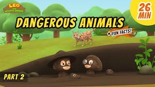 Dangerous Animals Part 23 - Animals Stories for Kids  Educational  Leo the Wildlife Ranger