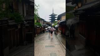Typhoon Day in Kyoto #japan