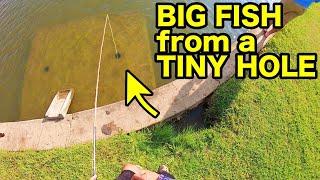 Try this INSANE URBAN FISHING TRICK IT WORKS